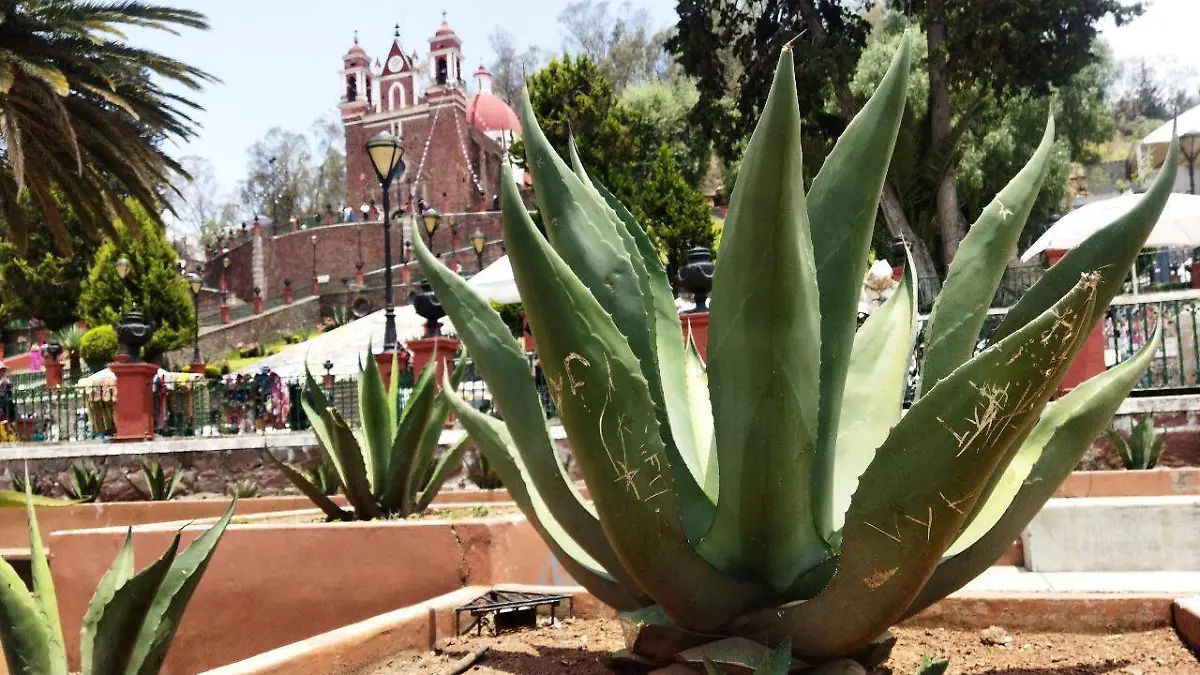 cerro de los magueyes metepec